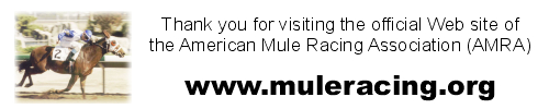 Thank you for visiting the official web site of AMRA...